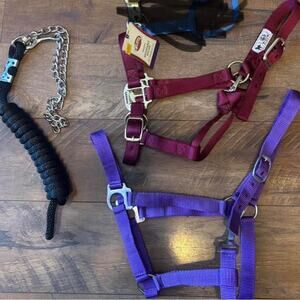 NEW Horse halter/lead lot of 3